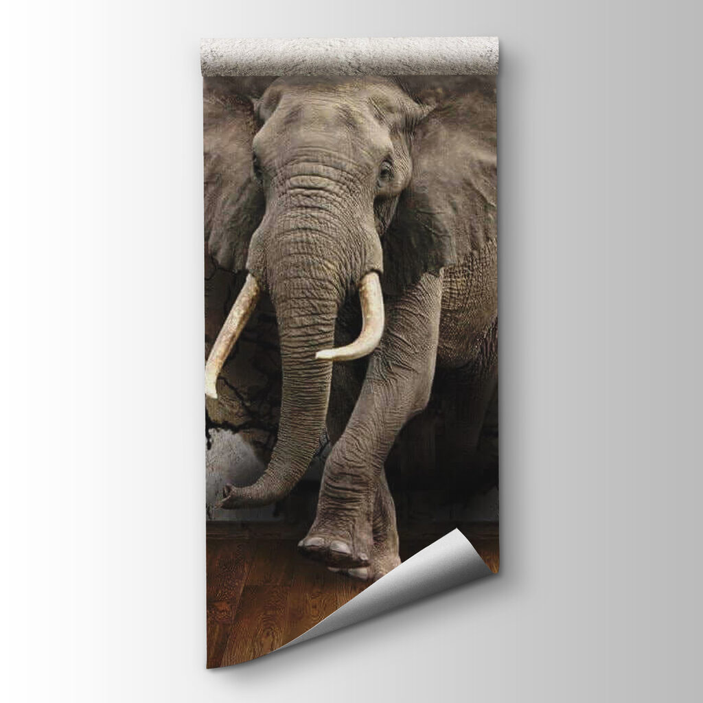 Elefante em parede rachada — vista do produto