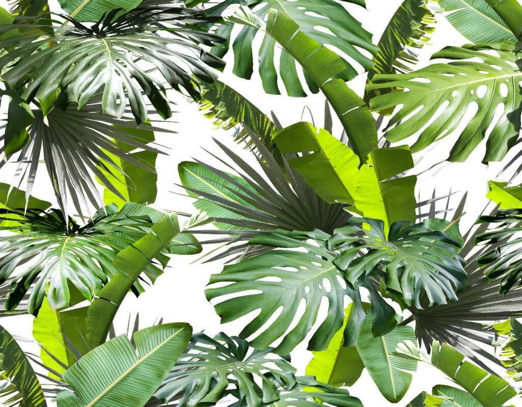 Folhas tropicais verdes — design completo