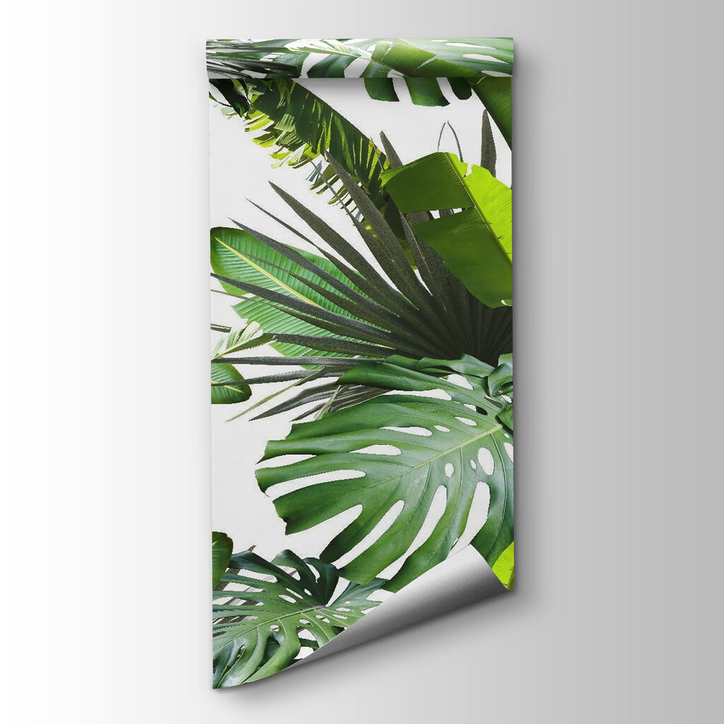 Folhas tropicais verdes — vista do produto