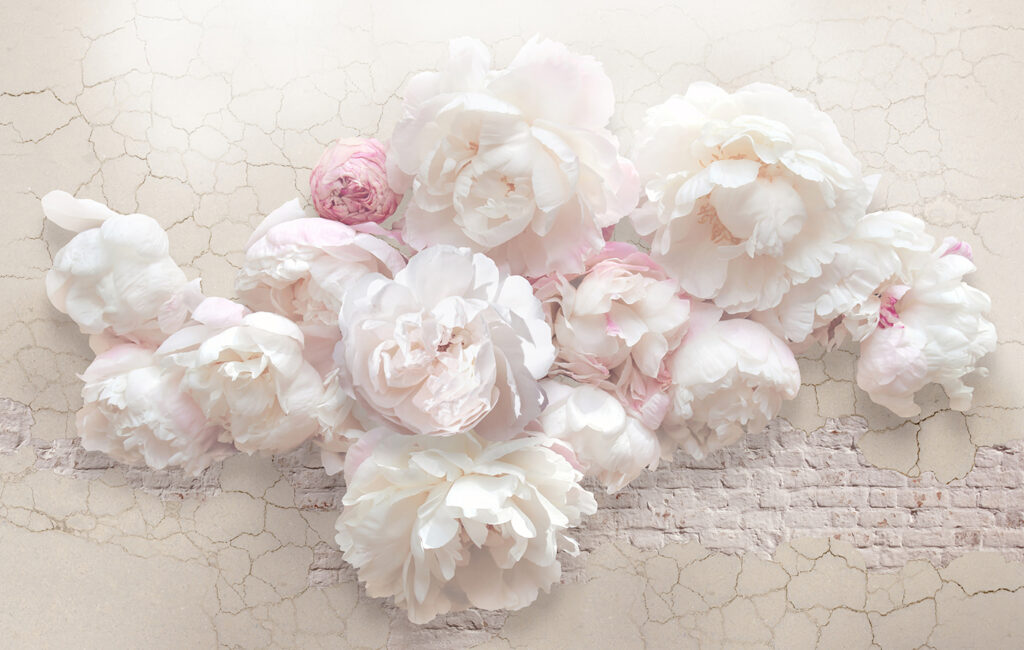 Rosas sobre branco rachado — design completo