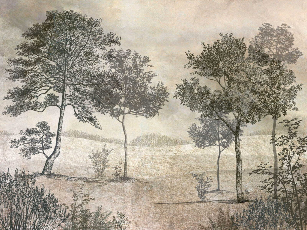 Paisagem de traços finos — design completo