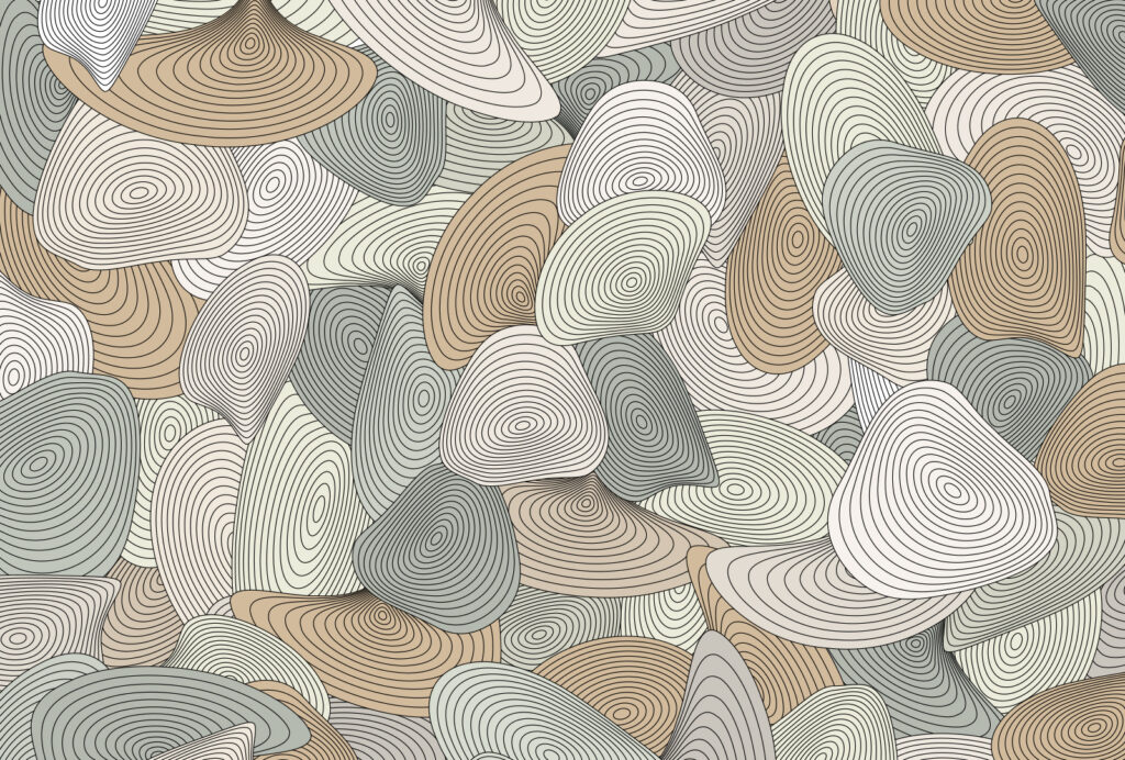 Formas redondas com contornos — design completo
