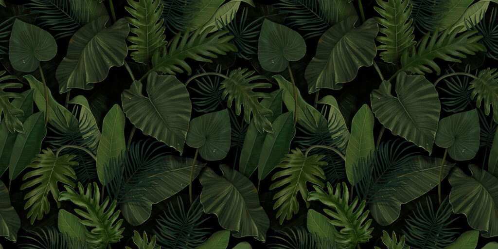 Folhas grandes em verde-floresta — design completo