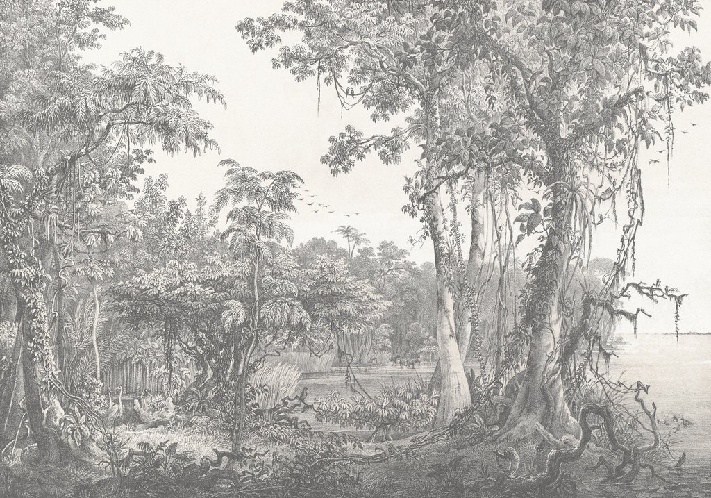 Floresta primitiva — design completo