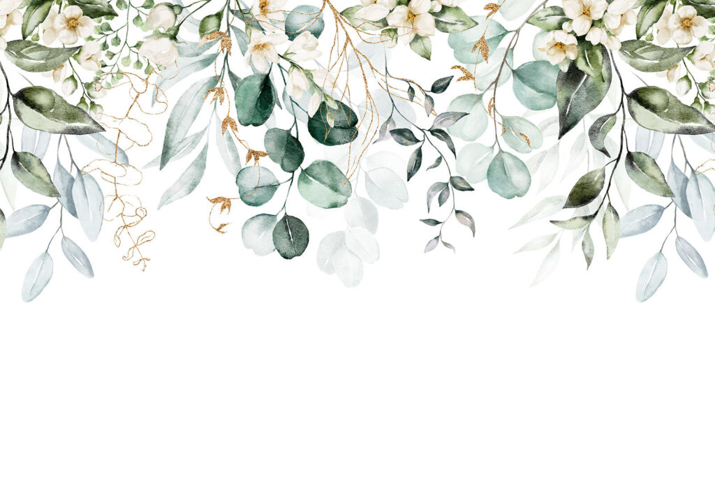 Trepadeiras de folhas redondas — design completo