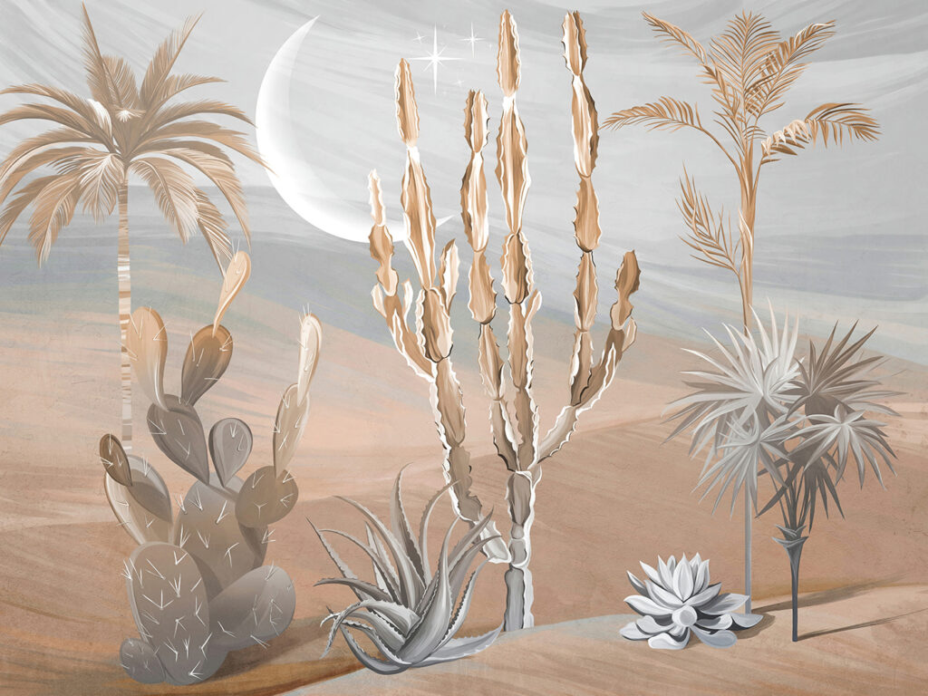 Cactos ao luar — design completo