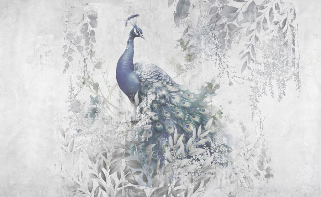 Pavão em névoa cinzenta — design completo