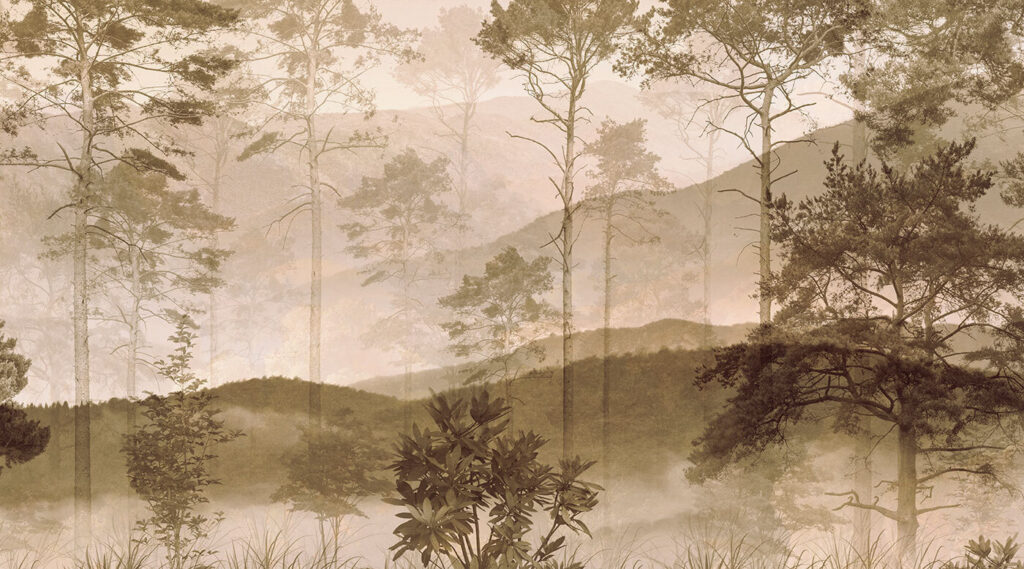 Orla do bosque — design completo