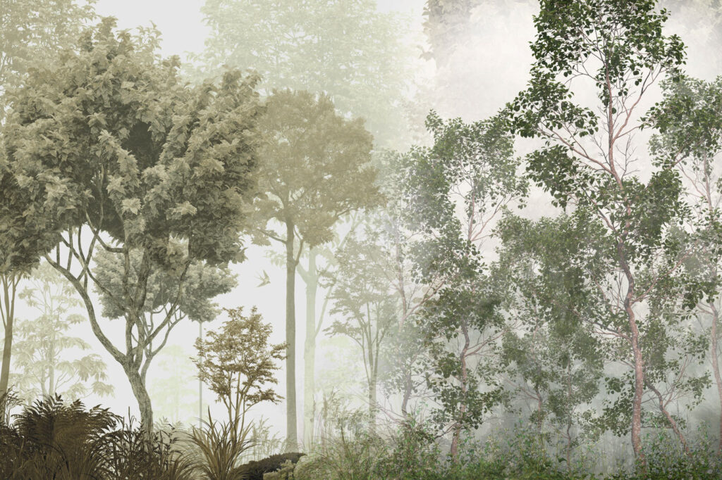 Copas verdes do bosque — design completo