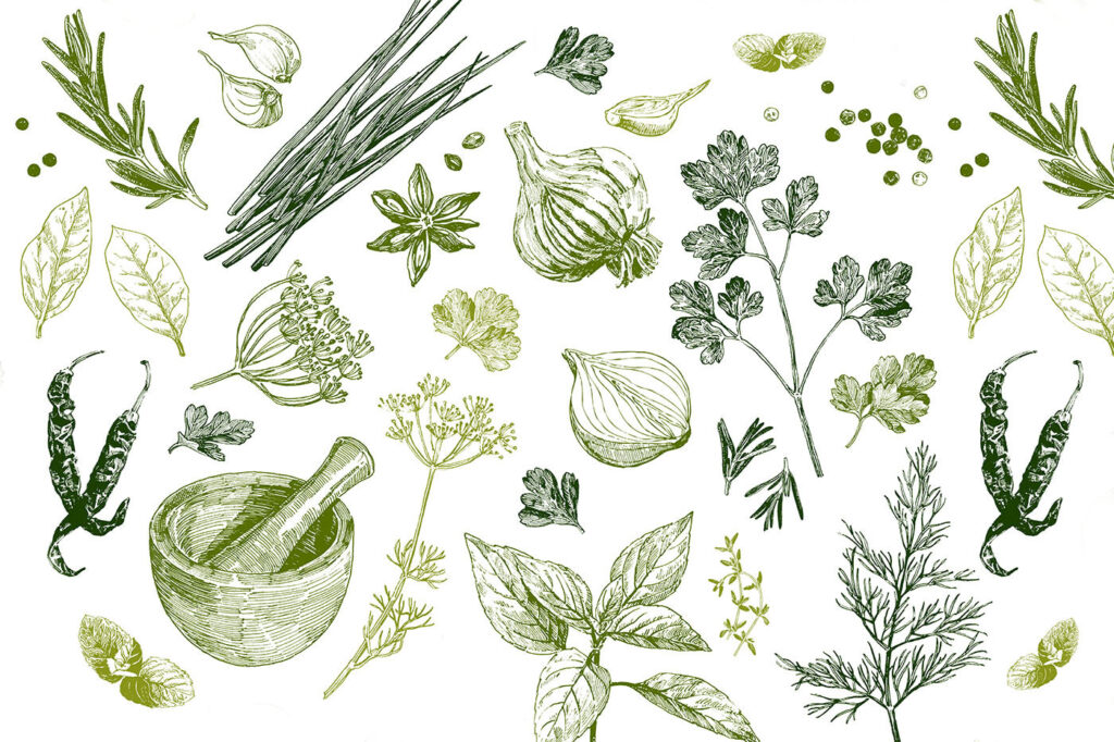 Ervas verdes desenhadas — design completo