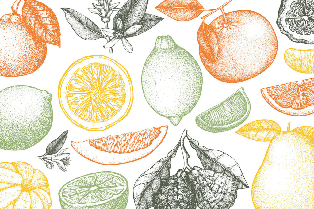 Citrinos em traço fino — design completo