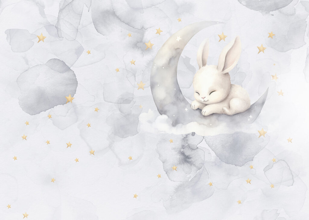 Coelhinho na lua — design completo