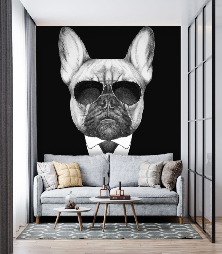 Buldogue de fato — interior 3