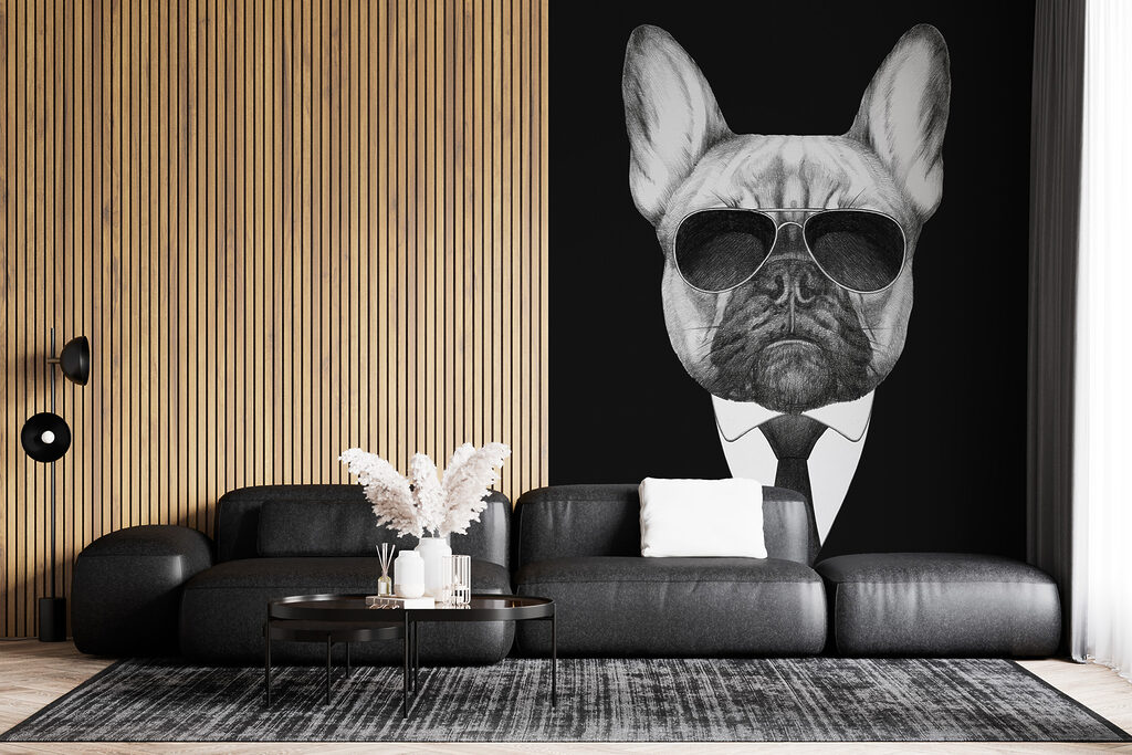 Buldogue de fato — interior 4