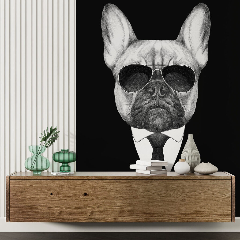 Buldogue de fato — interior 5