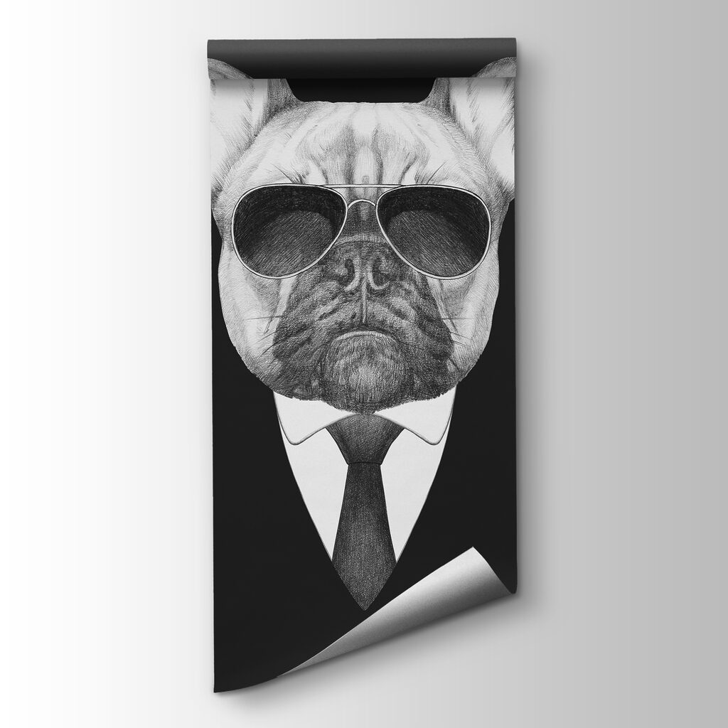Buldogue de fato — vista do produto