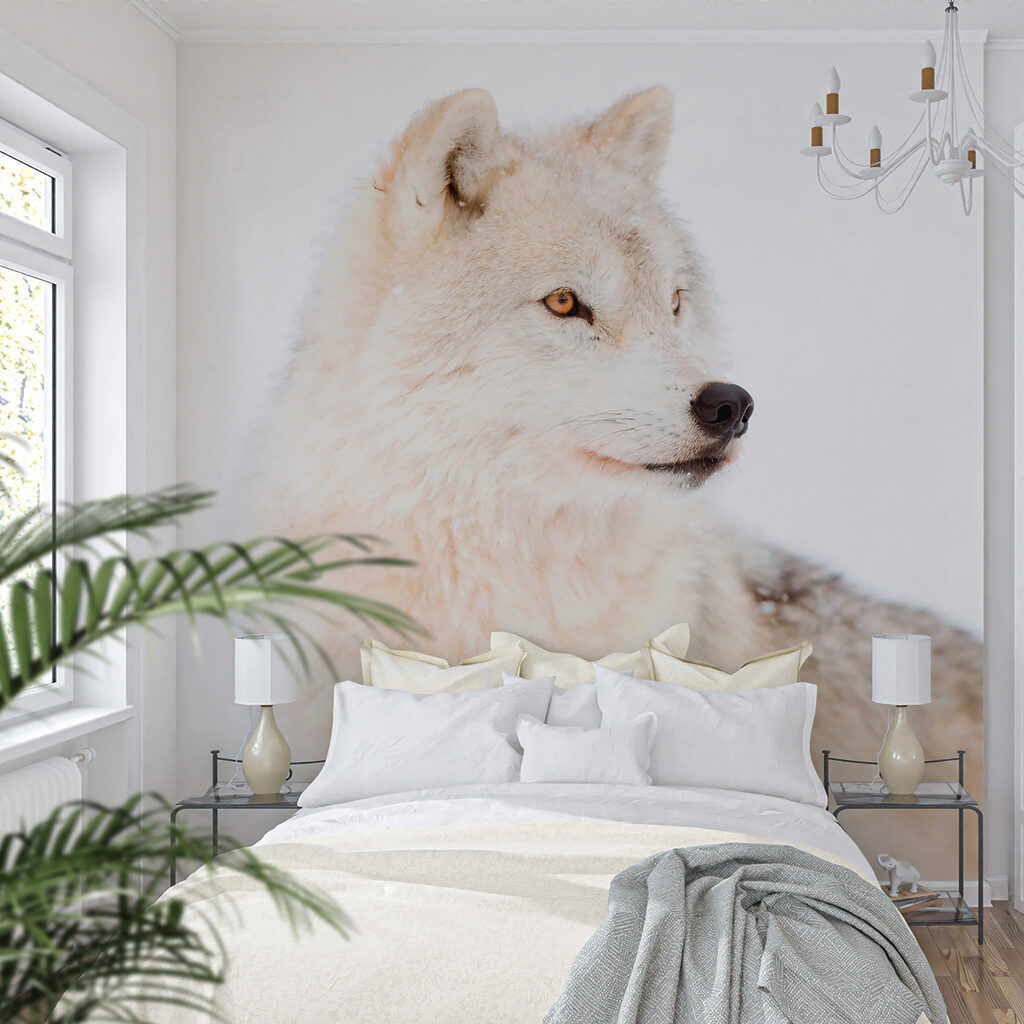 Lobo branco de perto — interior 4