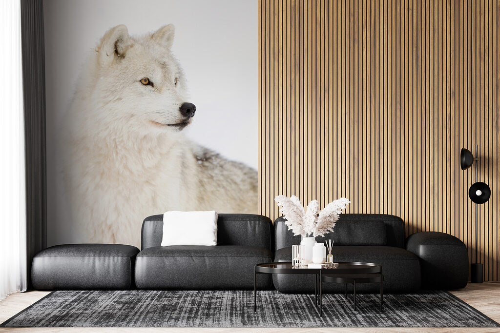 Lobo branco de perto — interior 5