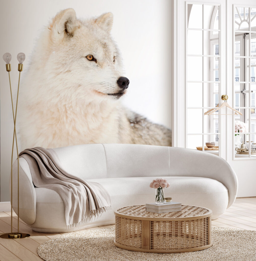 Lobo branco de perto — interior 2