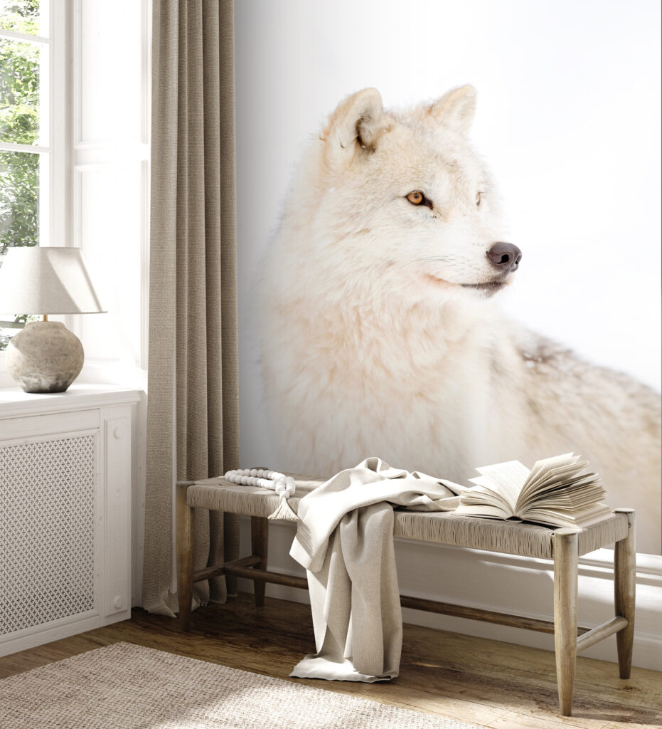 Lobo branco de perto — interior 3
