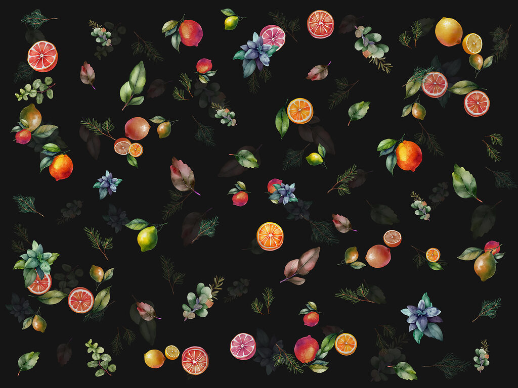 Frutos cítricos e ramos — design completo