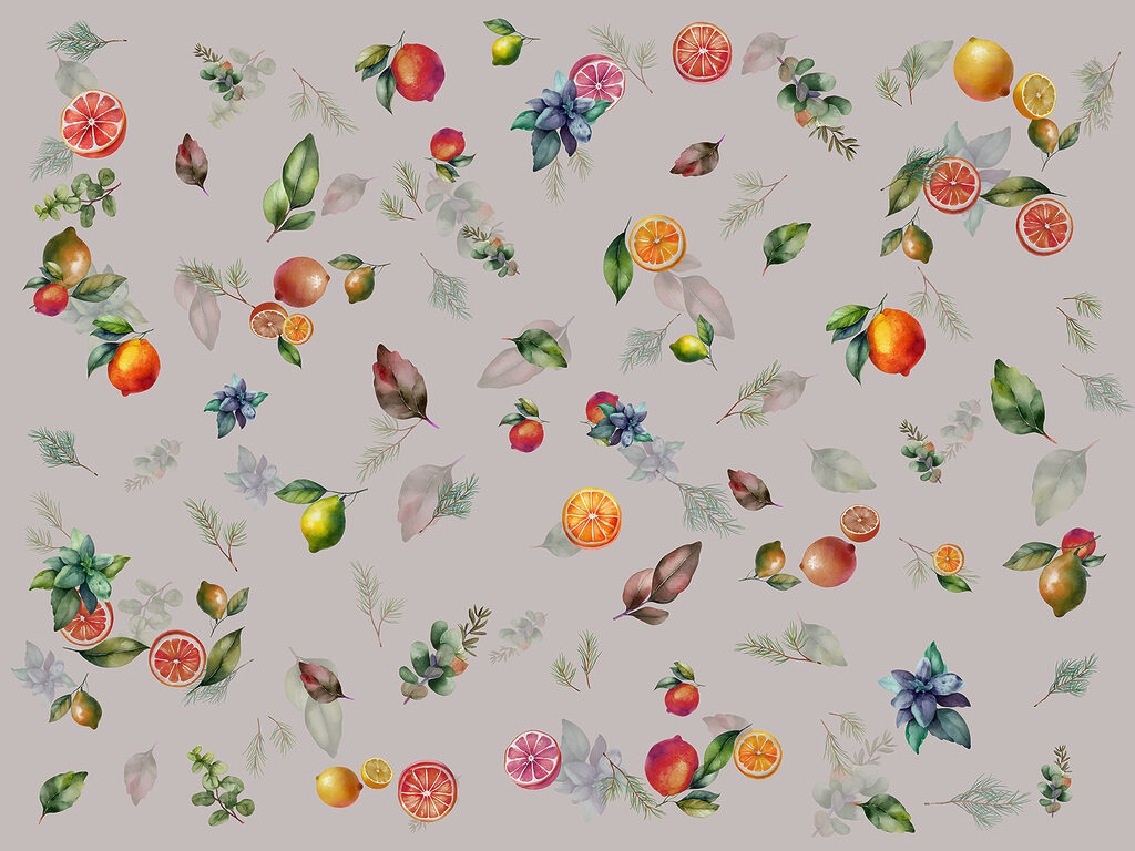 Frutos cítricos e ramos — design completo