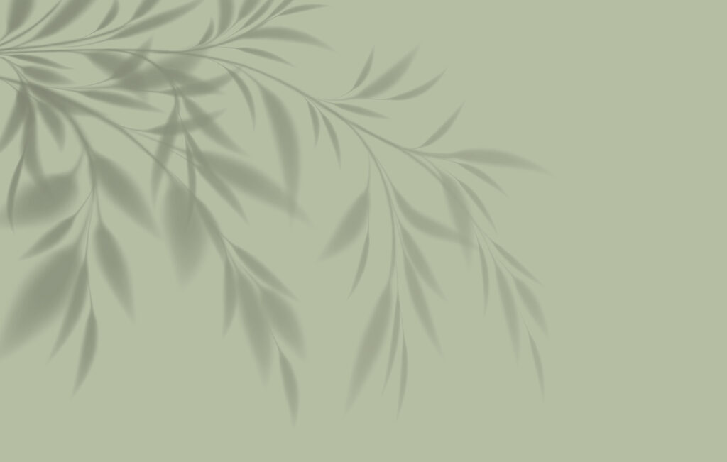Sombra de folhas — design completo