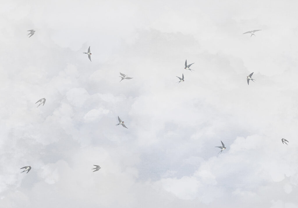 Aves entre nuvens — design completo