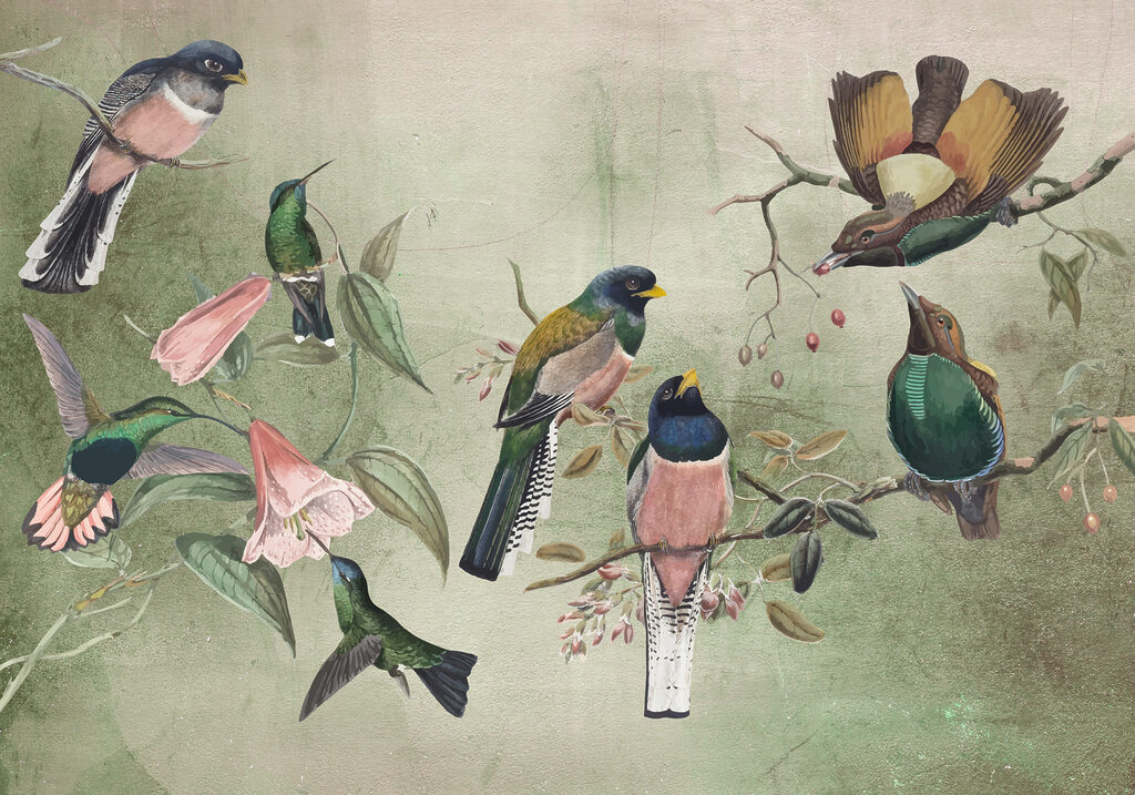 Aves coloridas em ramos — design completo