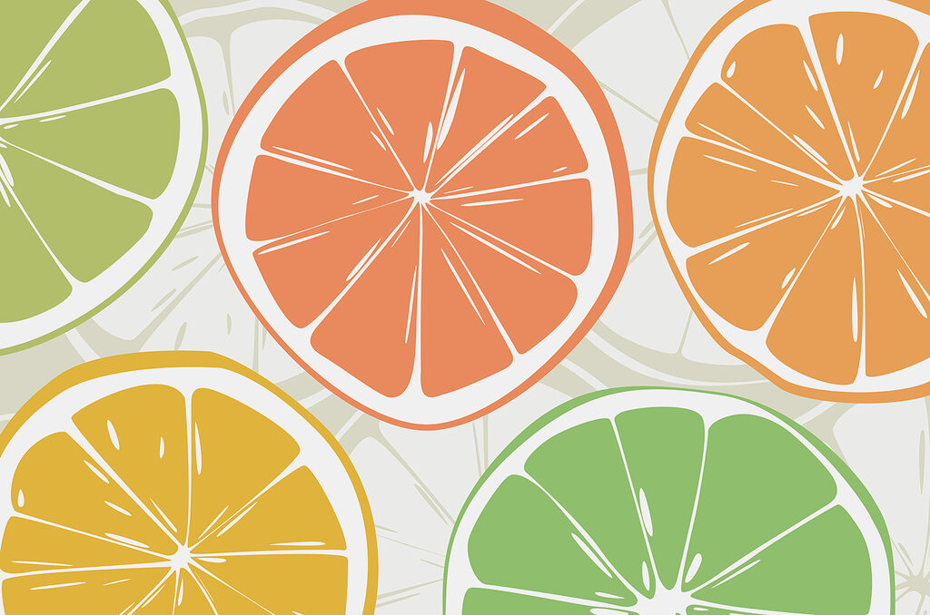 Rodelas de citrinos — design completo