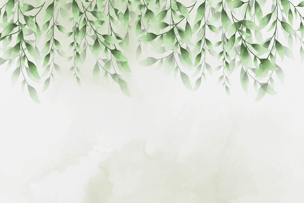 Folhas sobre névoa branca — design completo