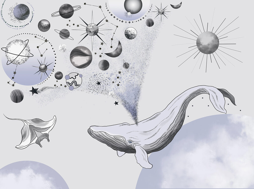 Baleias entre planetas — design completo