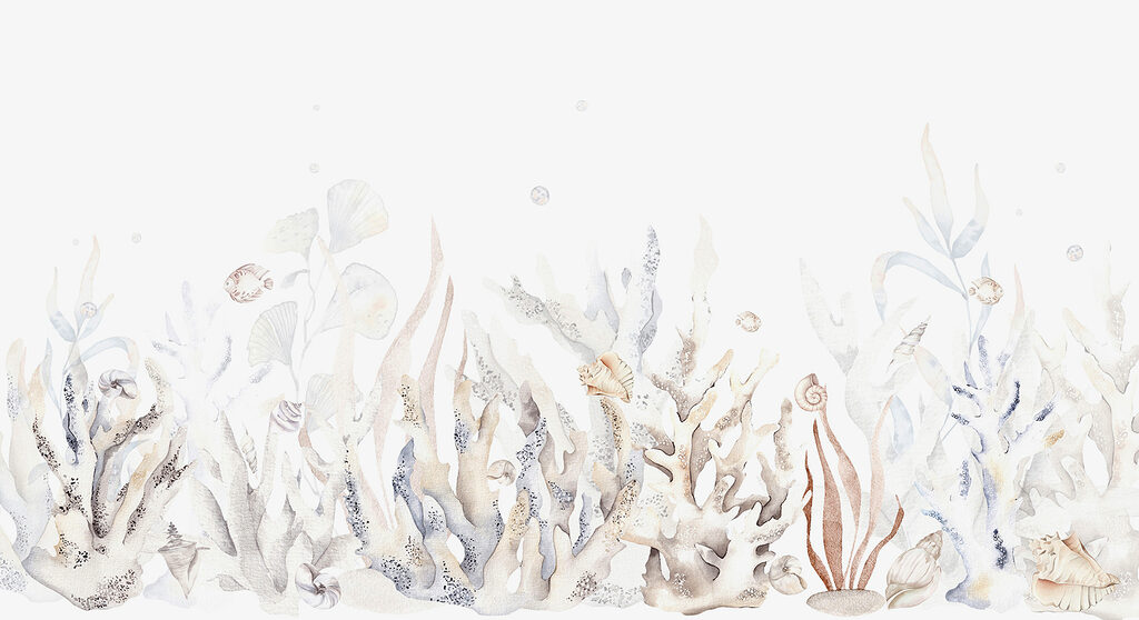 Corais em branco — design completo