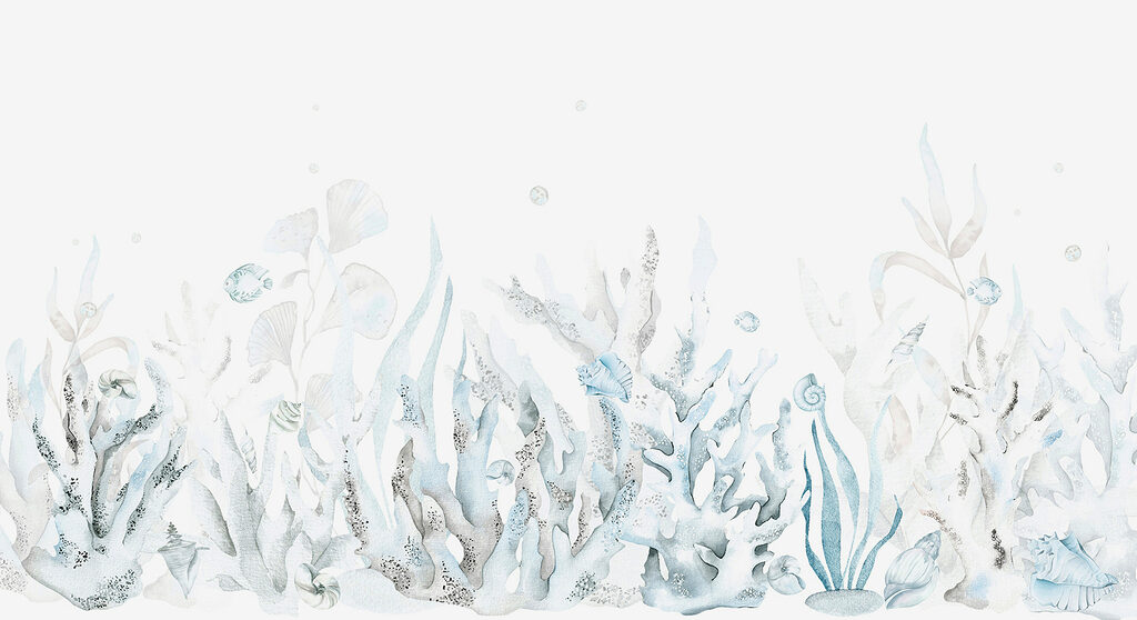 Corais em branco — design completo