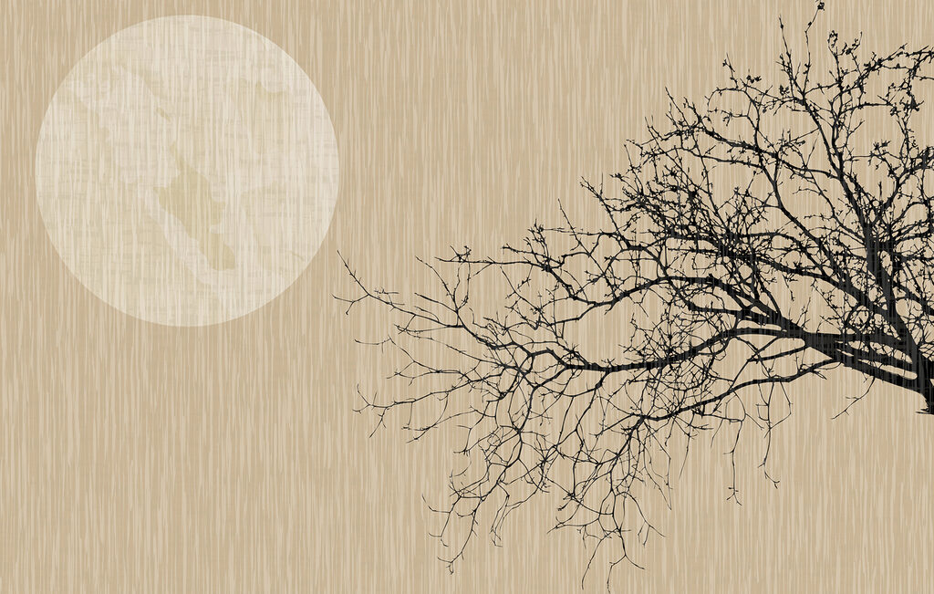 Lua e ramo nu — design completo
