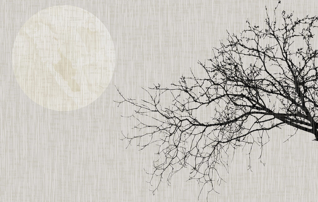 Lua e ramo nu — design completo