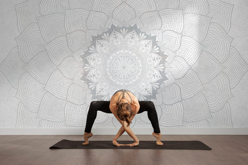 Mandala de linhas finas — interior 3