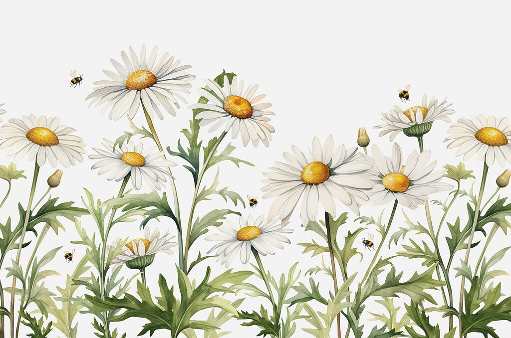 Margaridas cheias de vida — design completo