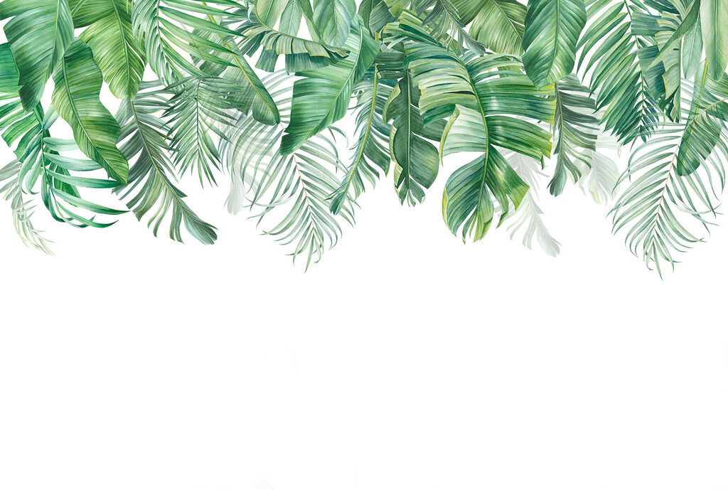 Palmas verdes em franja — design completo
