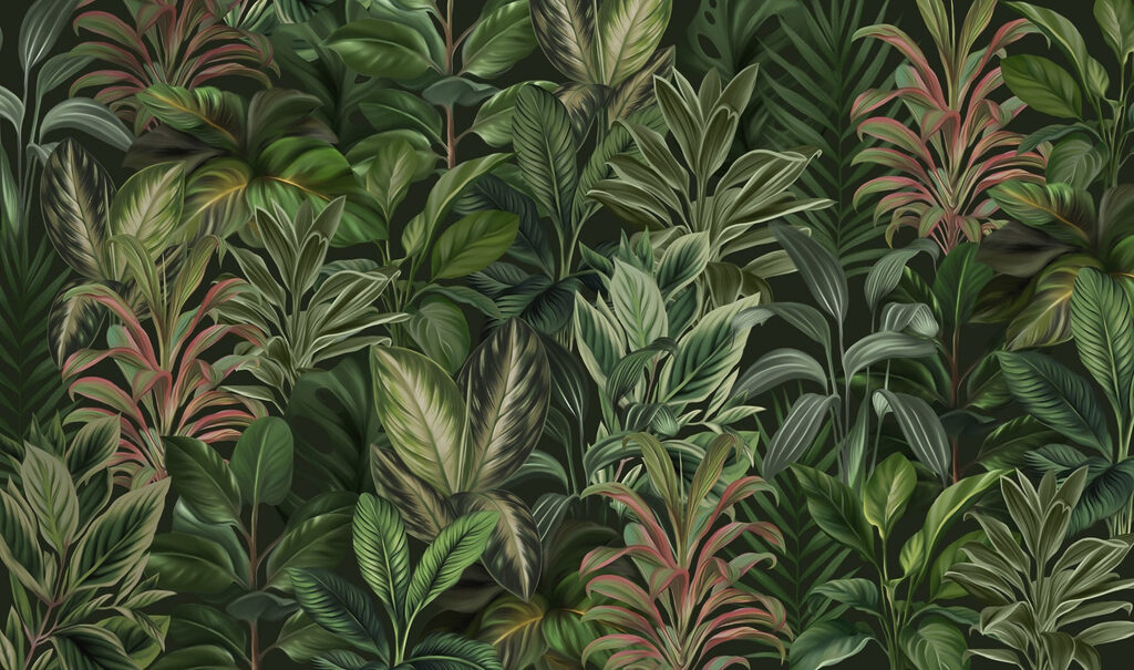 Selva em verde profundo — design completo