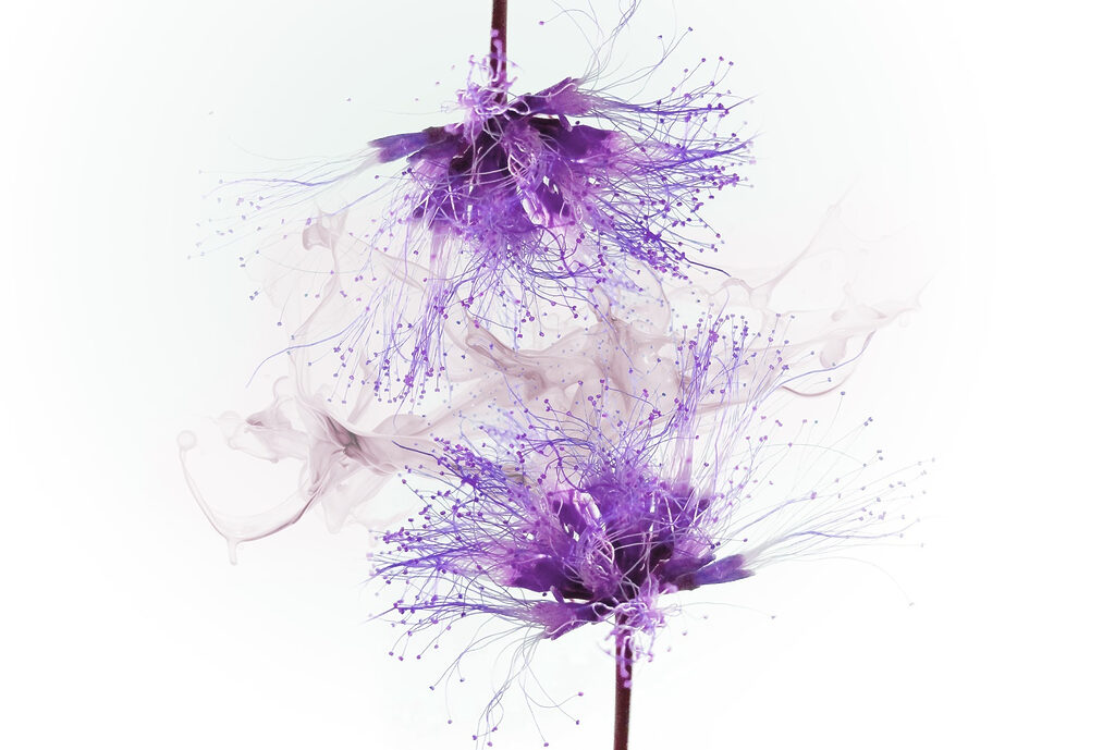 Flores em salpicos — design completo