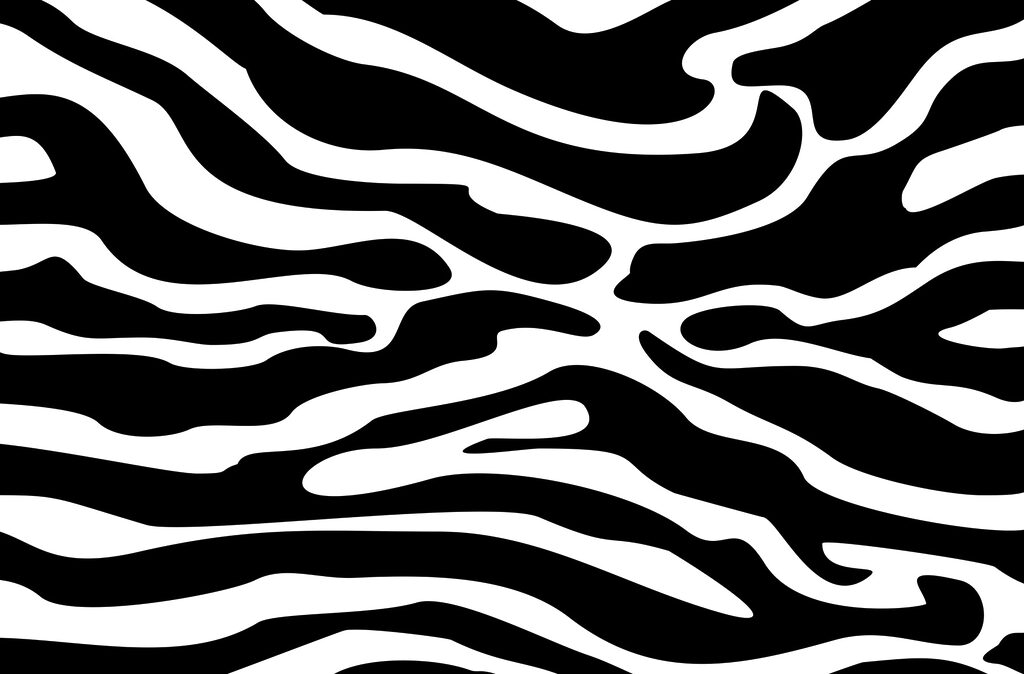 Linhas de zebra — design completo