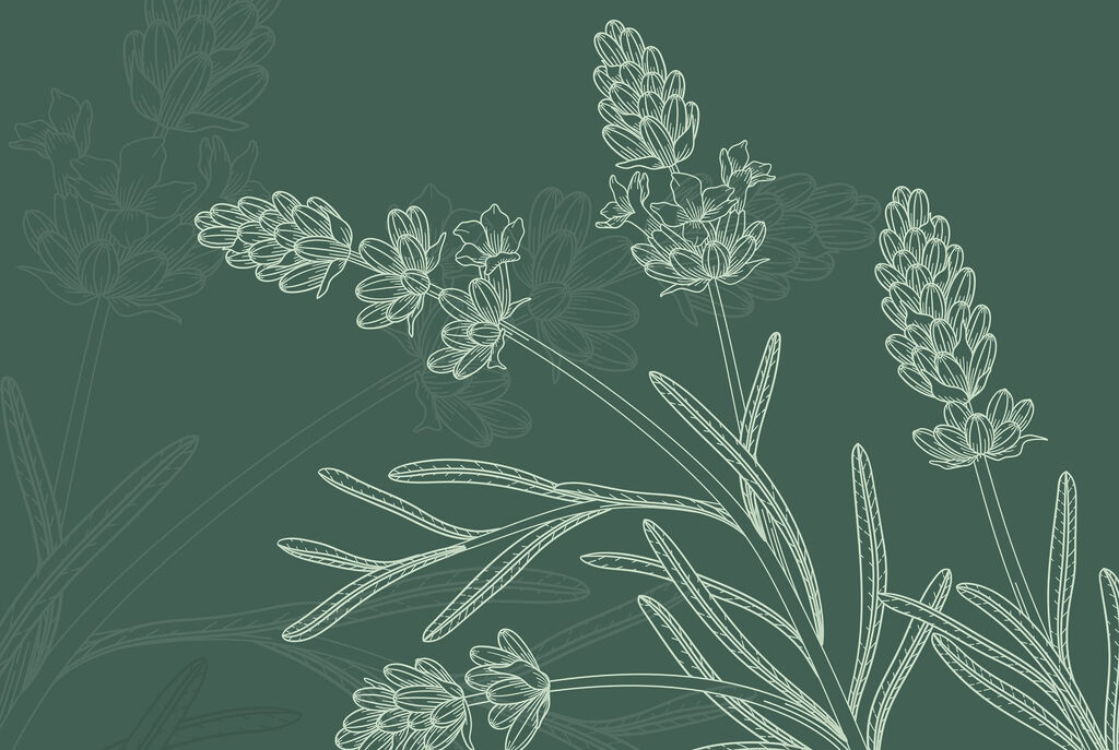 Cachos de flores desenhados — design completo