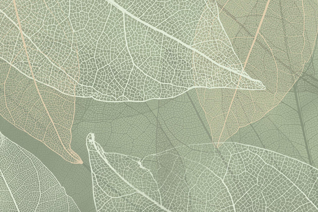 Rede de nervuras finas — design completo
