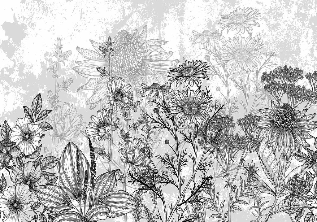 Prado de linhas pretas — design completo