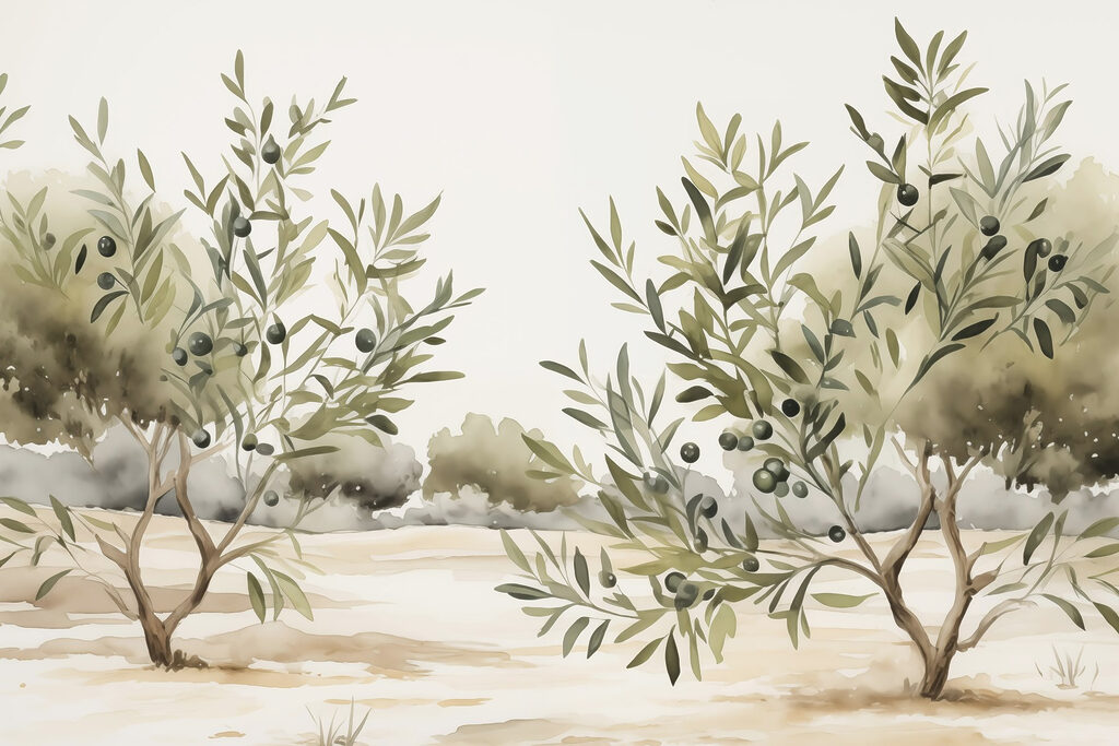 Oliveiras em terra arenosa — design completo