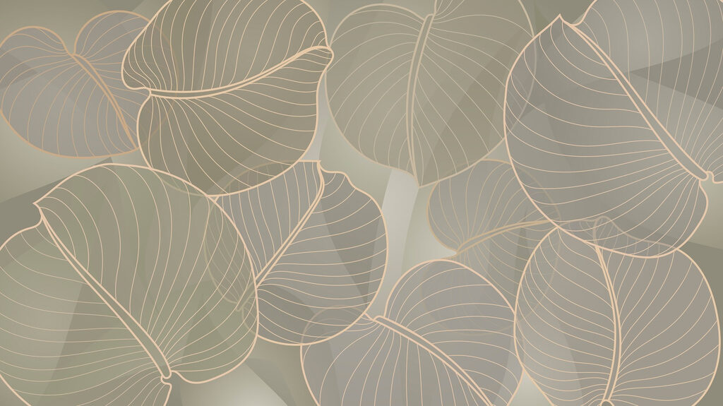 Bordas de folha verde-oliva — design completo