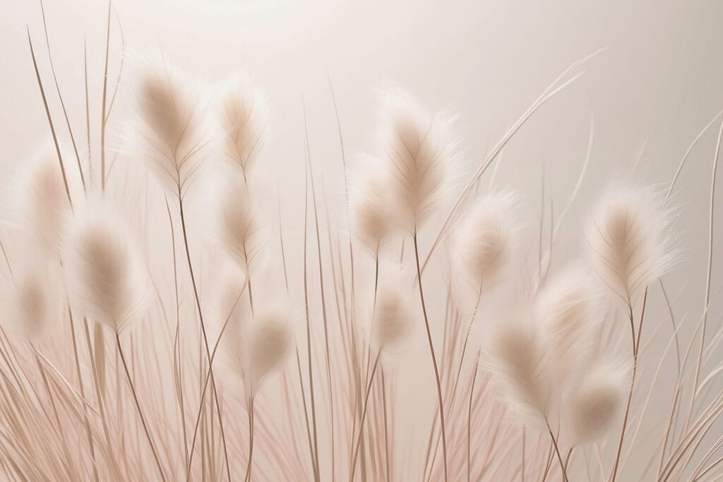 Penachos em rosa-antigo — design completo