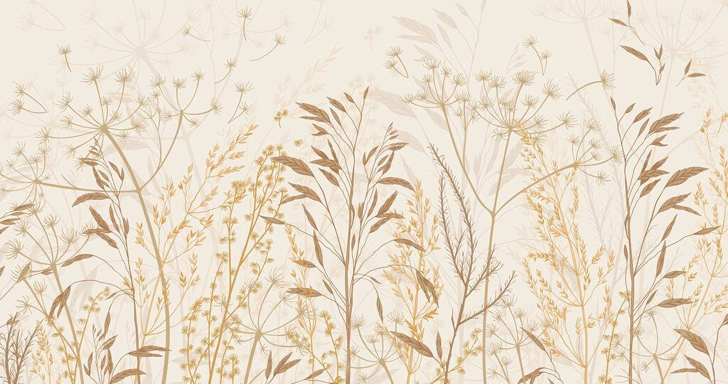 Plantas de campo — design completo
