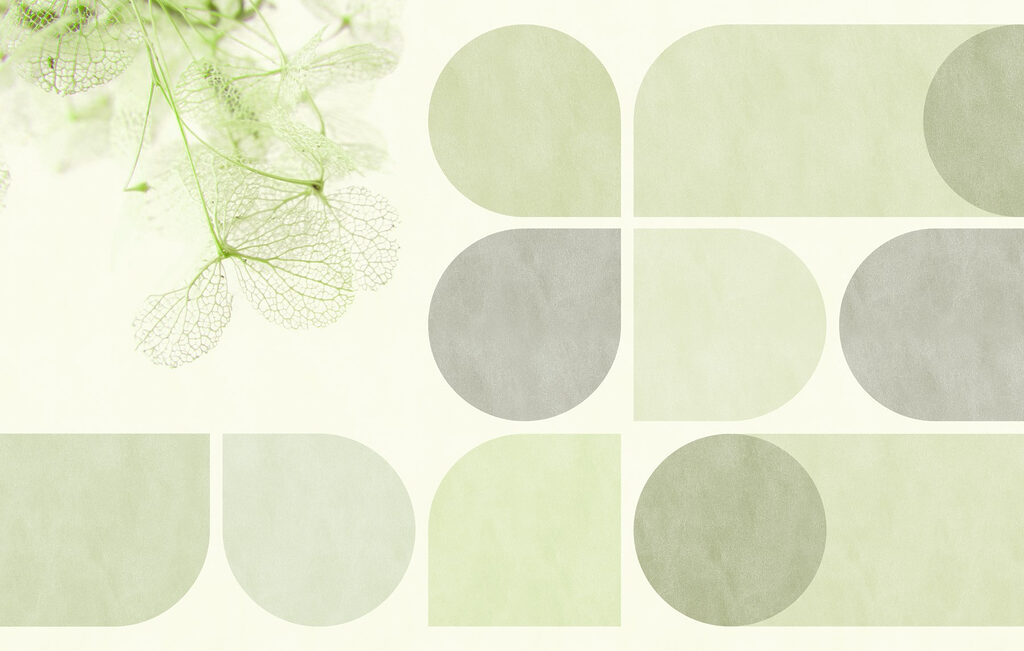 Folhas e formas arredondadas — design completo